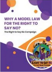 Right to Say No model law statement